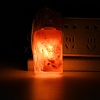 Natural Himalayan Rock Salt Lamp DJEW-P002-02G-1