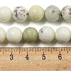 Natural Dendritic Jasper Beads Strands G-E571-A05-03-5