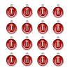Platinum Plated Alloy Enamel Charms LS-ENAM-S118-03I-P-2