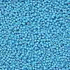 11/0 Grade A Baking Paint Glass Seed Beads X-SEED-N001-A-1018-2