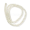 Transparent Electroplate Glass Beads Strands GLAA-T032-T4mm-C10-2