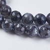 Natural Larvikite Beads Strands LS-G-G542-8mm-27-3