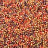 MIYUKI Delica Beads SEED-X0054-DB2063-2
