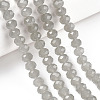 Glass Beads Strands EGLA-A034-J6mm-D10-4