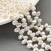 Natural Cultured Freshwater Pearl Beads Strands PEAR-A006-16-2