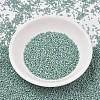 MIYUKI Delica Beads X-SEED-J020-DB2313-2