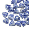 Natural Blue Spot Jasper Cabochons G-T025-10x10mm-15-1