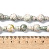 Natural Green Line Jasper 3-Hole Guru Bead Strands G-K149-41-4