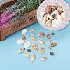 Mixed Natural Shell Bead Sets BSHE-PH0003-03-5