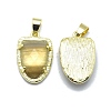 Natural Botswana Agate Pendants G-O176B-04G-2