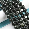 Natural Serpentine Beads Strands G-P504-10mm-01-2