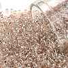 TOHO Round Seed Beads SEED-JPTR11-0031-1