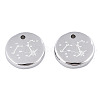 Non-Tarnish 316 Surgical Stainless Steel Charms STAS-S116-418H-P-2