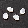 White Shell Cabochons SSHEL-C008-02-2