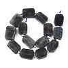 Natural Larvikite Beads Strands G-C098-A18-01-3