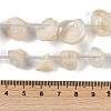 Natural Shell Beads Strands SHEL-K009-11-4