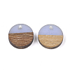 Resin & Walnut Wood Pendants RESI-S358-02E-09-2