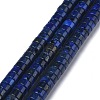 Natural Lapis Lazuli Bead Strands G-Z006-C13-1