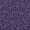 MIYUKI Delica Beads X-SEED-J020-DB1265-3