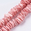 Natural Sea Shell Beads Strands BSHE-K012-08D-1