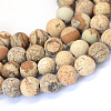Frosted Natural Picture Jasper Round Bead Strands G-E334-12mm-26-1