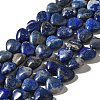 Natural Lapis Lazuli Beads Strands G-R190-10mm-54B-2