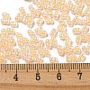 Ceylon Glass Seed Beads SEED-K009-02B-34-4