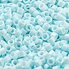 Baking Paint Glass Seed Beads SEED-S042-05A-35-3