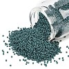 MIYUKI Delica Beads SEED-MY11-DB2407-1
