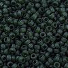 MIYUKI Round Rocailles Beads SEED-X0054-RR0156F-3