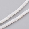 Natural Shell Bead Strands BSHE-P017-03-3