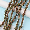 Natural Unakite Beads Strands G-G0003-B13-2