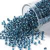 TOHO Round Seed Beads SEED-TR08-0188-1