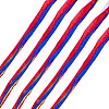 Raffia Ribbon OCOR-TA0004-21B-3