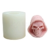 Halloween Skull DIY Food Grade Silicone Statue Candle Molds PW-WG77644-01-6