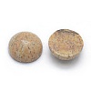 Natural Picture Jasper Cabochons G-P393-R51-8MM-2