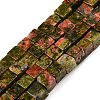 Natural Unakite Beads Strands G-T139-6x6-08A-4