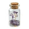 Transparent Glass Wishing Bottle Decoration AJEW-JD00011-03-1