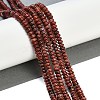 Natural Brecciated Jasper Beads Strands G-K343-C28-01-4