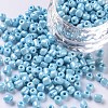 Glass Seed Beads X1-SEED-A012-4mm-123-1