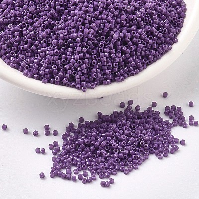 MIYUKI Delica Beads X-SEED-J020-DB2140-1
