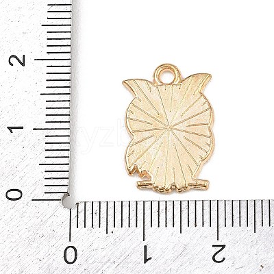 Valentine's Day Alloy Enamel Pendants ENAM-I084-01KCG-28-1