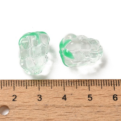 Handmade Lampwork Beads Strands LAMP-G162-05F-1
