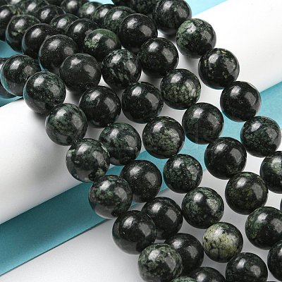 Natural Serpentine Beads Strands G-P504-10mm-01-1