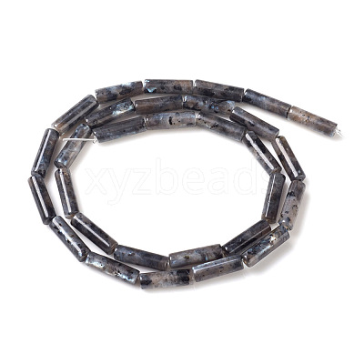 Natural Larvikite Beads Strands G-F247-23-1