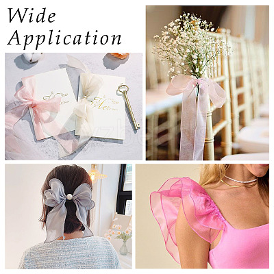 Polyester Organza Ribbon TAC0006-01C-1