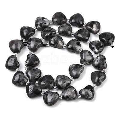 Natural Larvikite Beads Strands G-NH0069-A10-1