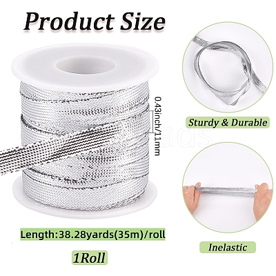 Sparkle Nylon Ribbon OCOR-GF0004-48D-06-1