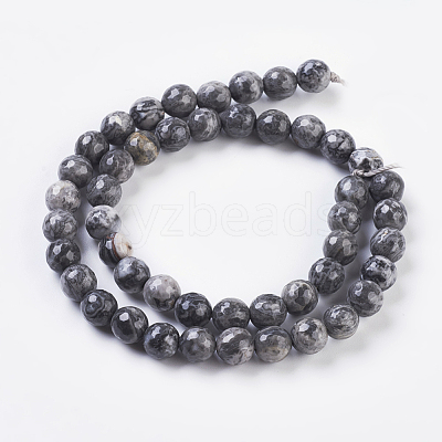 Natural Map Stone/Picasso Stone/Picasso Jasper Strands X-G-G099-8mm-27-1