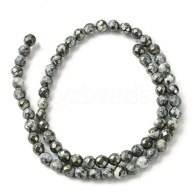 Natural Gemstone Beads Strands G-D067-I03-C02-1